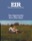 Cover Thumbnail