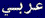 Arabic-language website
