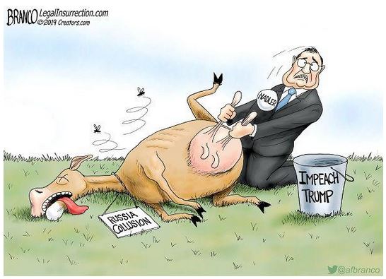 branco milk cow