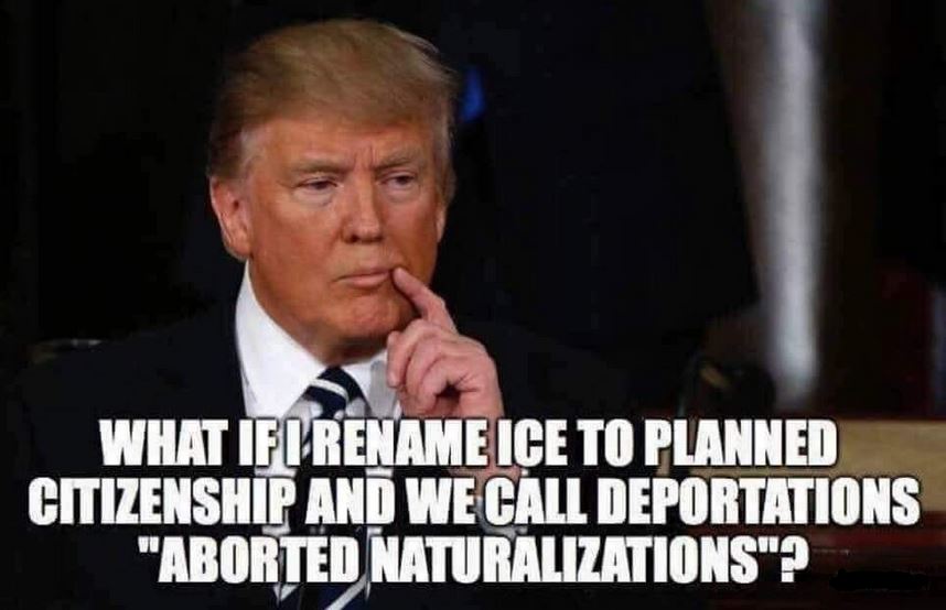 illegal deportations trump ice.JPG