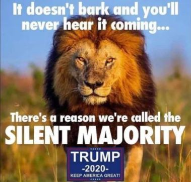 lion majority