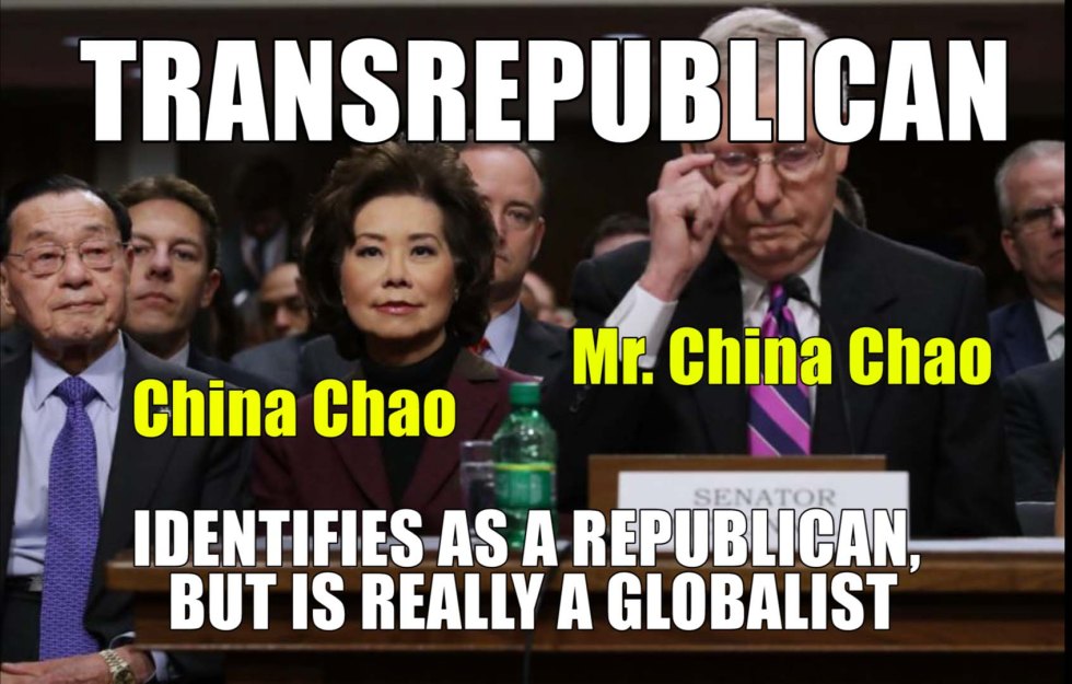 transrepublican chao mcconnell.jpg
