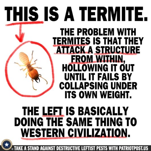democrat termite