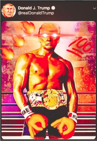 trump fighter colorized