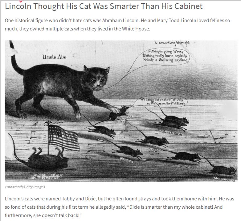 lincoln cat 2.JPG