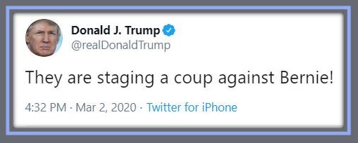 tt bernie coup