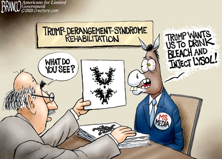 branco trump derangement tds