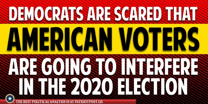 democrat voters elections