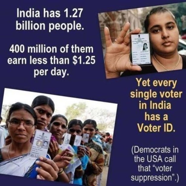 india voter id