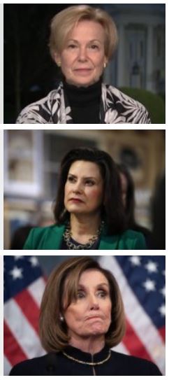birx whitmer pelosi