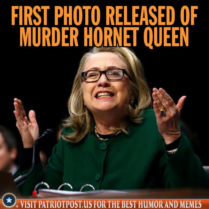 hillary clinton murder hornet