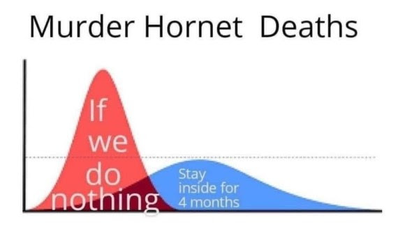 hornet chart