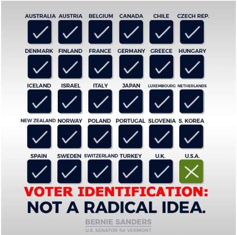 bernie voter id election