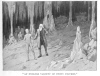 AN ENDLESS VARIETY OF STONY FIGURES.