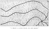A BRAIN, A LIVING BRAIN, MV OWN BRAIN.