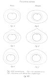 Figure 40