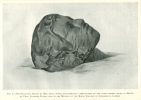FIG. 2.WATER-COLOUR SKETCH BY MRS. CECIL FIRTH, REPRESENTING A RESTORATION OF THE EARLY MUMMY FOUND AT MEDÛM BY PROF. FLINDERS PETRIE, NOW IN THE MUSEUM OF THE ROYAL COLLEGE OF SURGEONS IN LONDON