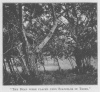 “THE DEAD WERE PLACED UPON SCAFFOLDS IN TREES.”