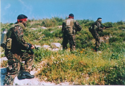 Hezbollah fighters. (Wikimedia)