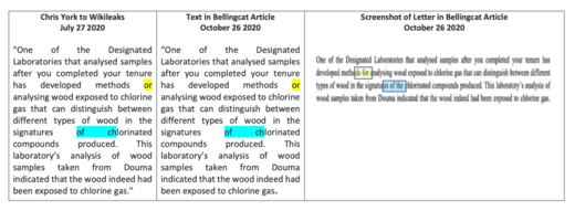 Click to enlarge bellingcat OPCW whistleblower
