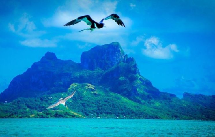 The Coming Polynesian Union